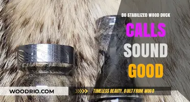 Exploring the Sonic Appeal of Stabilized Wood Duck Calls