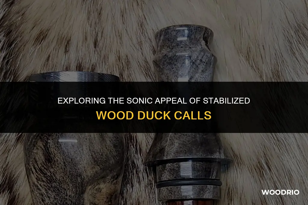 do stabilized wood duck calls sound good