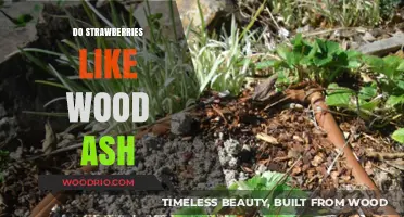 Strawberries and Wood Ash: A Surprising Relationship