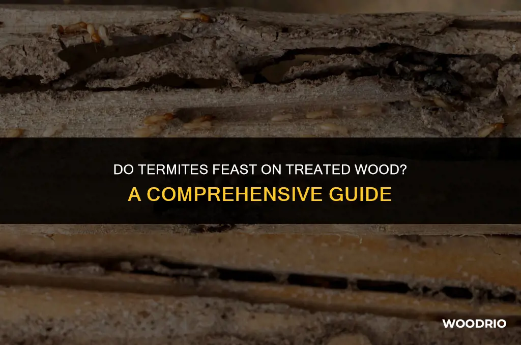 do termintes eat treated wood