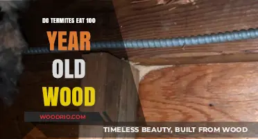 Can Termites Damage Century-Old Wood? Facts and Prevention Tips
