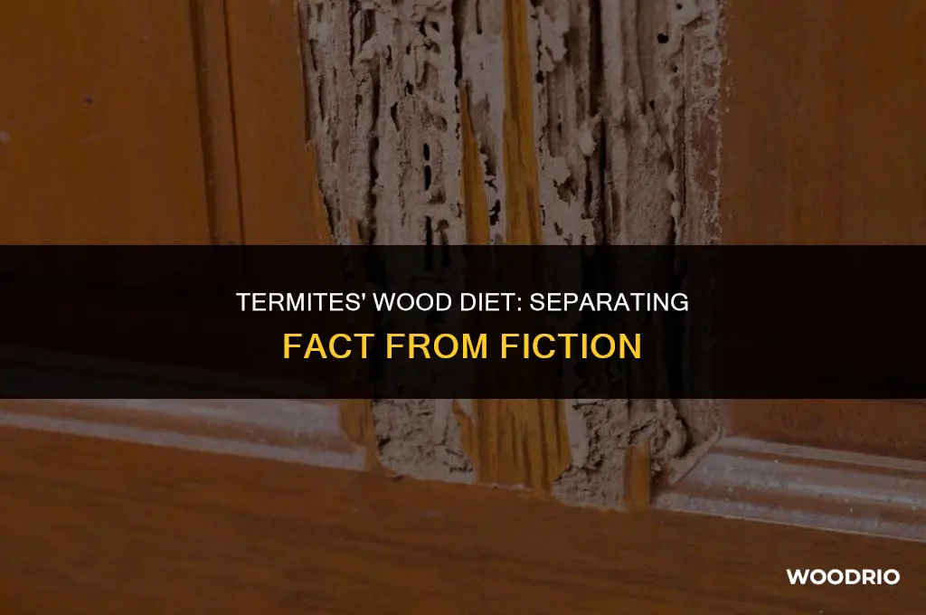 do termites eat good wood