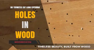 Termites and Exterior Wood: Do They Create Long Holes?