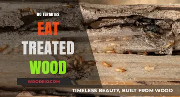 Termite Resistance: The Truth About Treated Wood