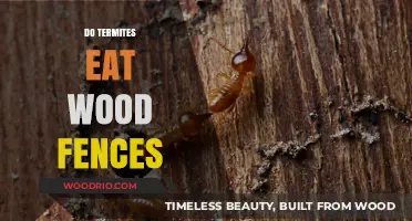 Termites and Wood Fences: Understanding the Risks and Prevention Tips