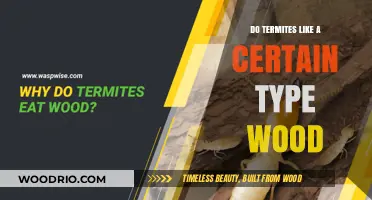 Termite Preferences: Which Woods Are Most Appealing to These Pests?