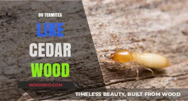 Cedar Wood and Termites: A Natural Defense Against Infestation