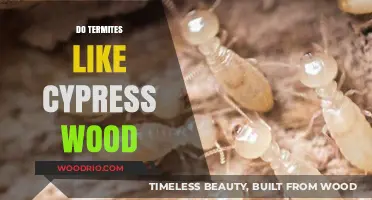 Cypress Wood: A Termite-Resistant Option for Your Home?