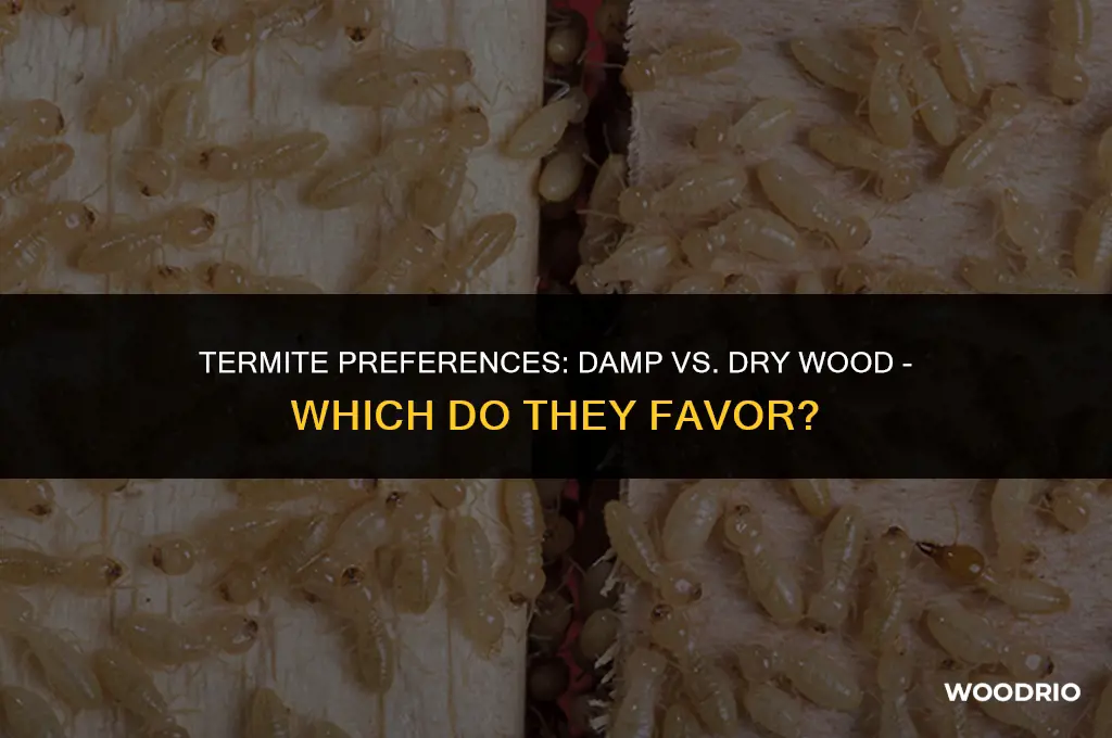 do termites like damp or dry wood