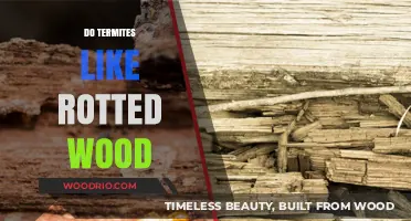Decaying Timber: A Termite's Delight or Dilemma?