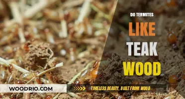 Do Termites Like Teak Wood? A Comprehensive Guide to Termite-Resistant Woods