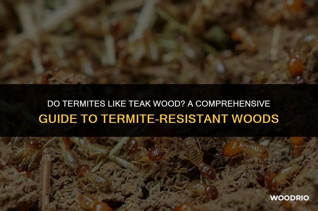 do termites like teak wood