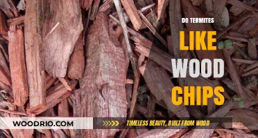 Unveiling the Truth: Do Termites Really Like Wood Chips?