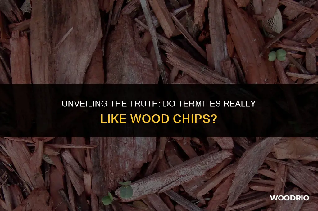 do termites like wood chips
