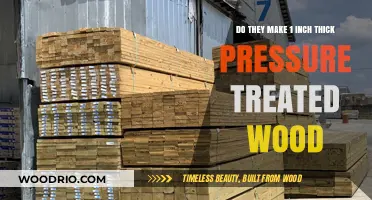 Exploring the Availability of 1-Inch Thick Pressure Treated Wood