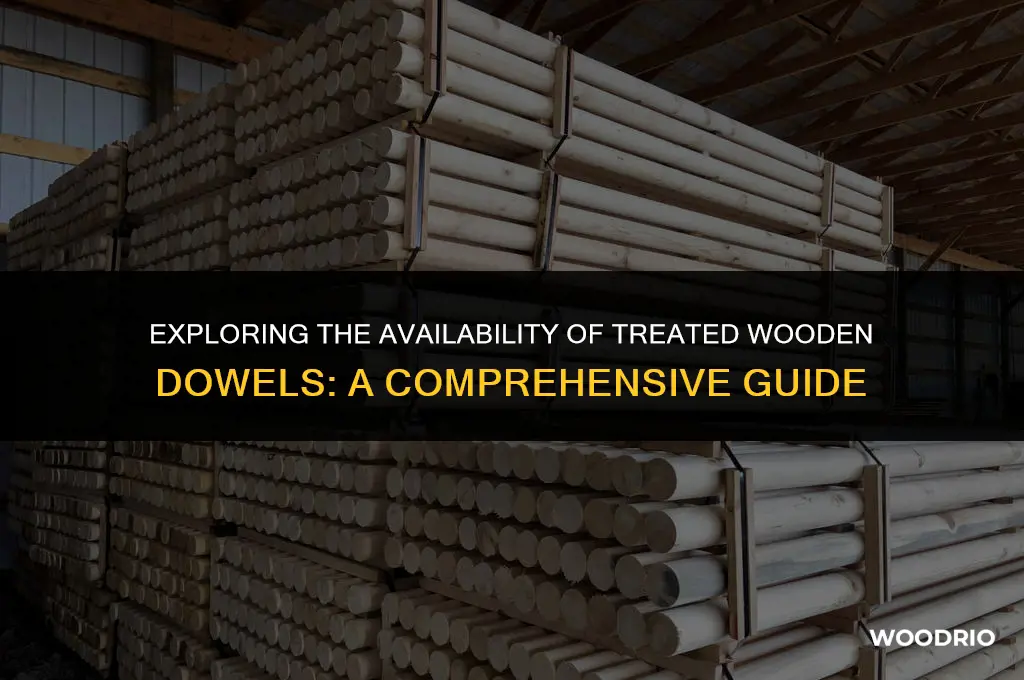 do they make treated wooden dowels