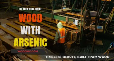 Arsenic in Wood Treatment: A Persistent Concern?
