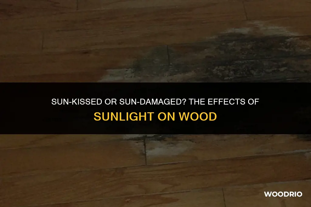 do things made of wood darken to sun exposure