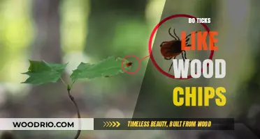 Exploring Tick Preferences: Do They Really Like Wood Chips?