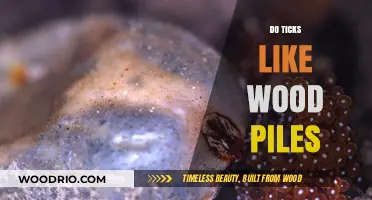 Do Ticks Like Wood Piles? Uncovering the Truth About These Pesky Critters