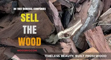 From Branch to Bucks: The Lucrative Side of Tree Removal