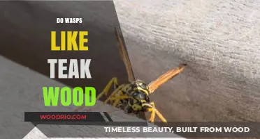 Exploring Wasp Preferences: Do They Favor Teak Wood?