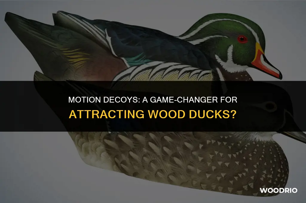 do wood ducks like motion decoys