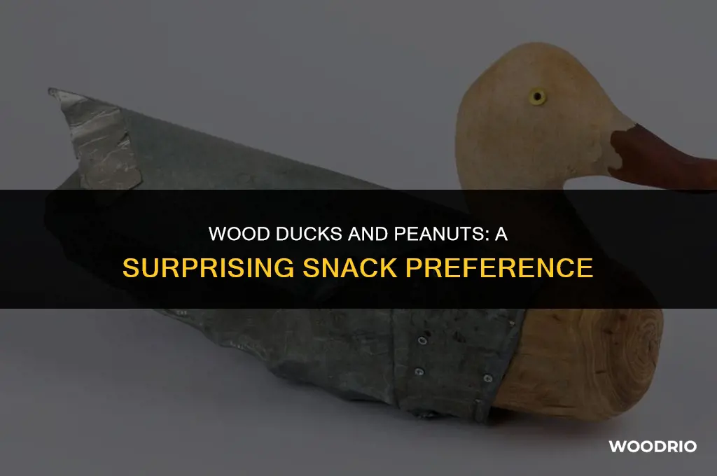 do wood ducks like peanuts
