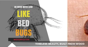 Wood Mites vs. Bed Bugs: A Comprehensive Comparison
