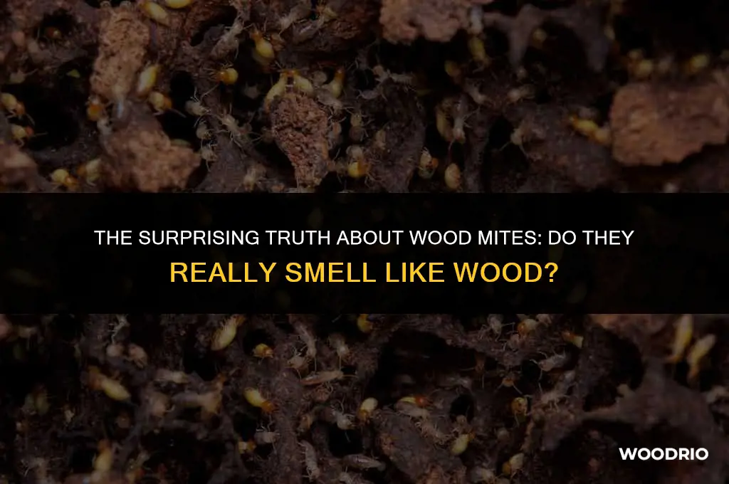 do wood mites smell like wood when squashed