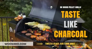 Exploring the Flavor: Do Wood Pellet Grills Rival Charcoal?