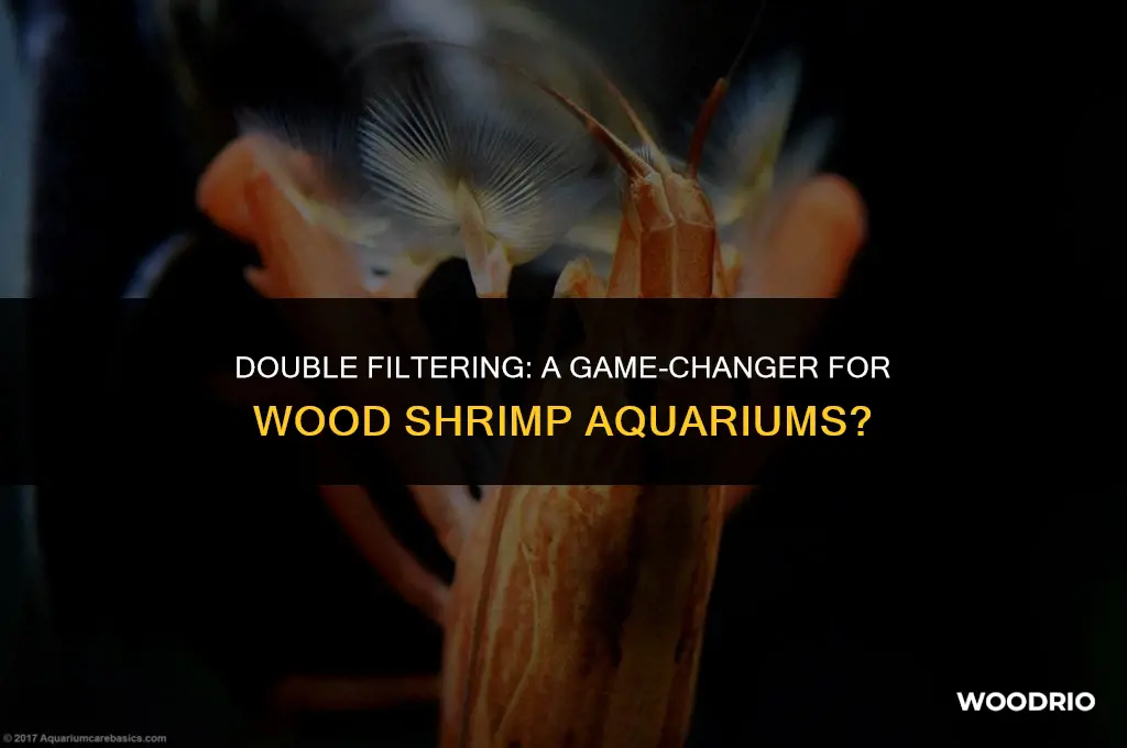 do wood shrimp like having a double filter