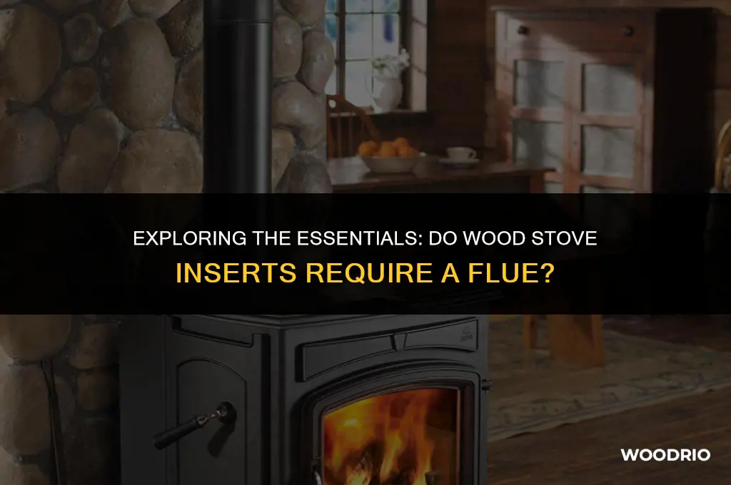 do wood stove inserts have a flue