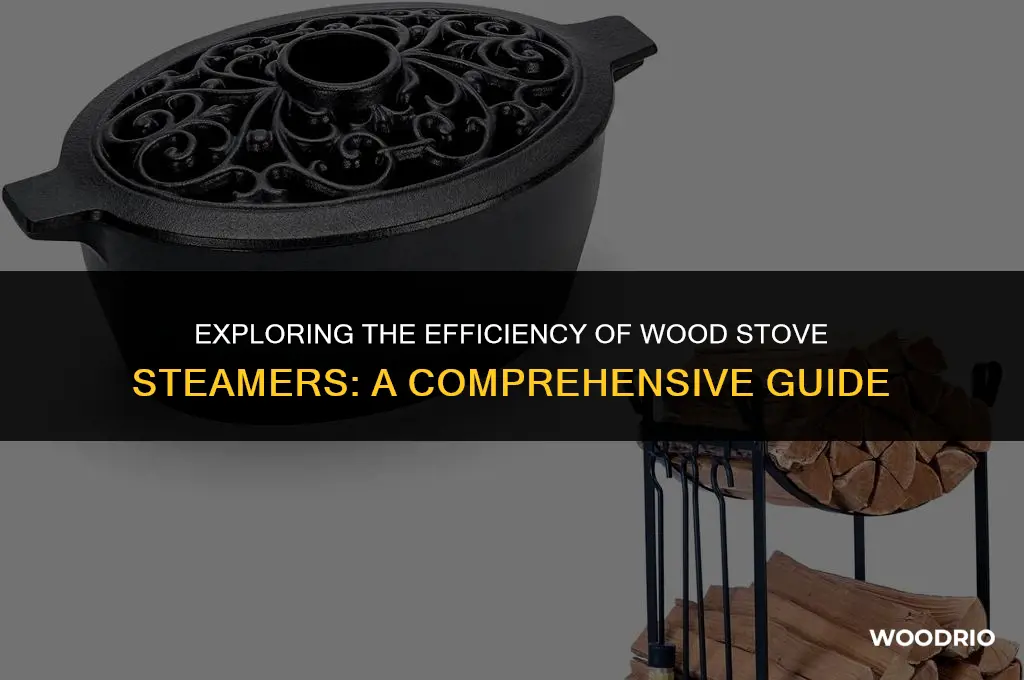 do wood stove steamers work