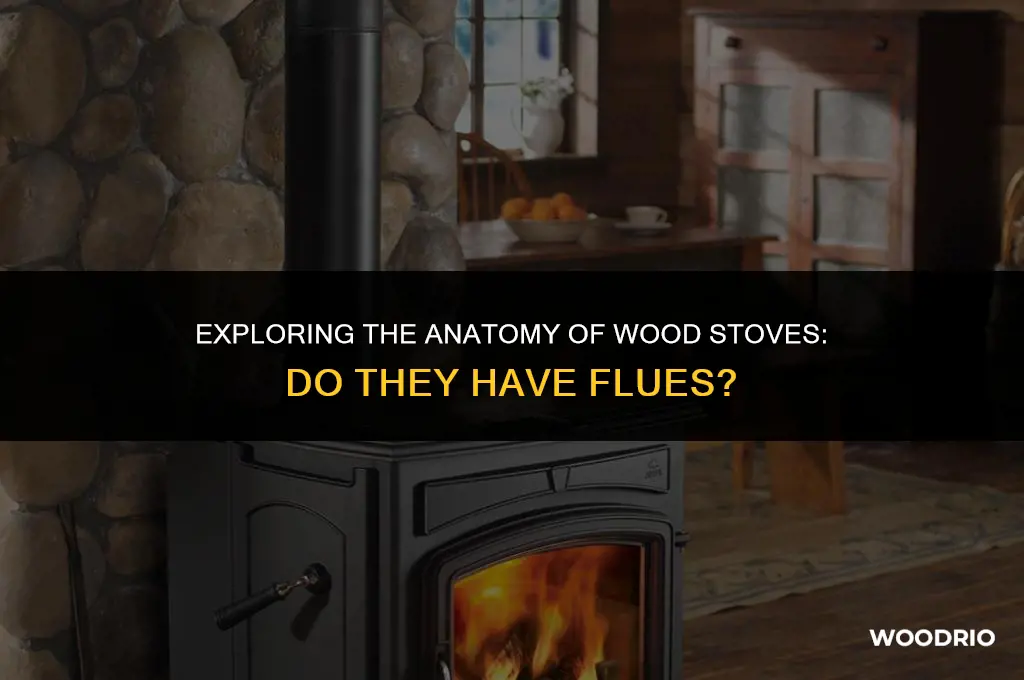 do wood stoves have flues