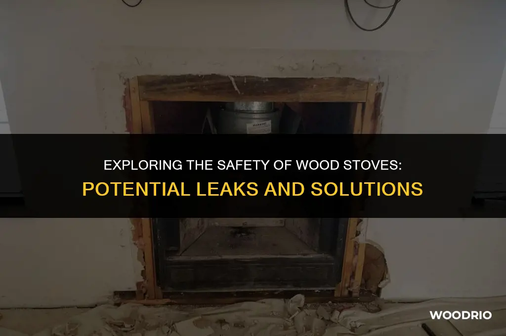 do wood stoves leak into house