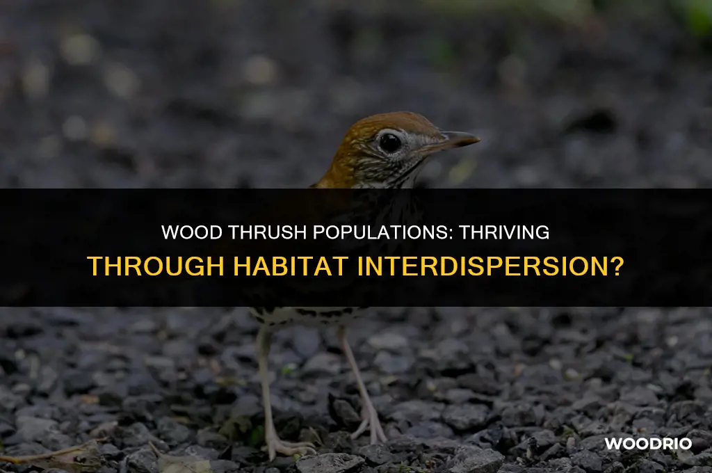 do wood thrush populations benefit from habitt interdispersion like quail