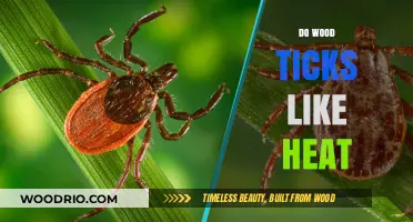 Exploring the Thermal Preferences of Wood Ticks: Do They Thrive in Heat?