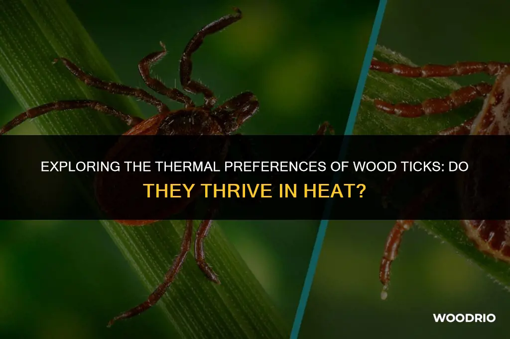 do wood ticks like heat