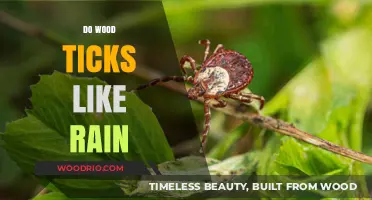 Exploring the Relationship Between Wood Ticks and Rainy Weather