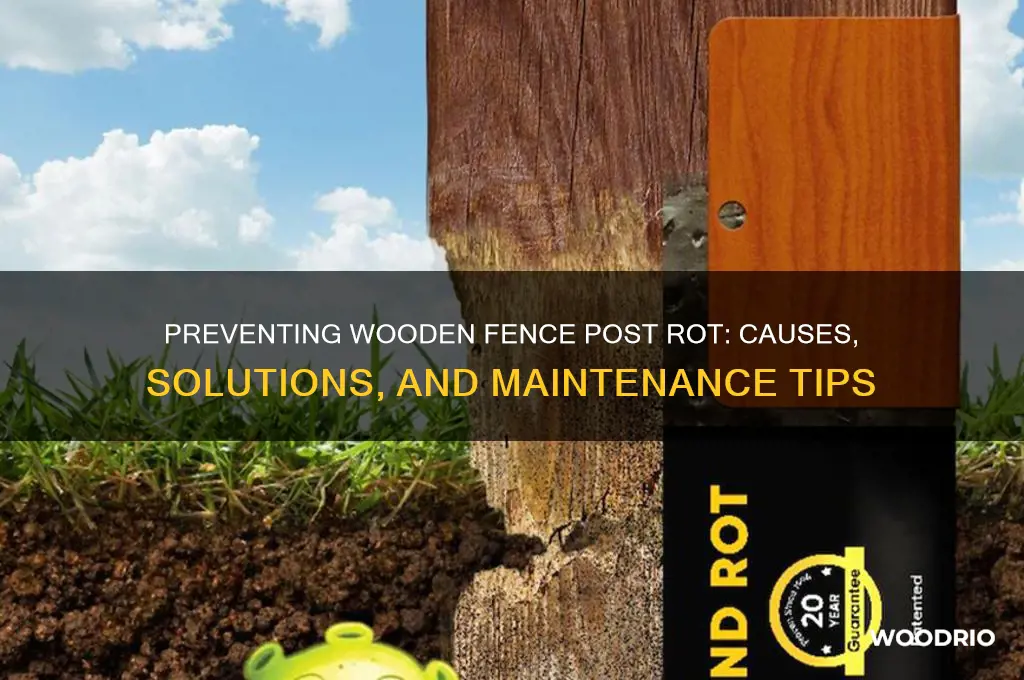 do wooden fence posts rot