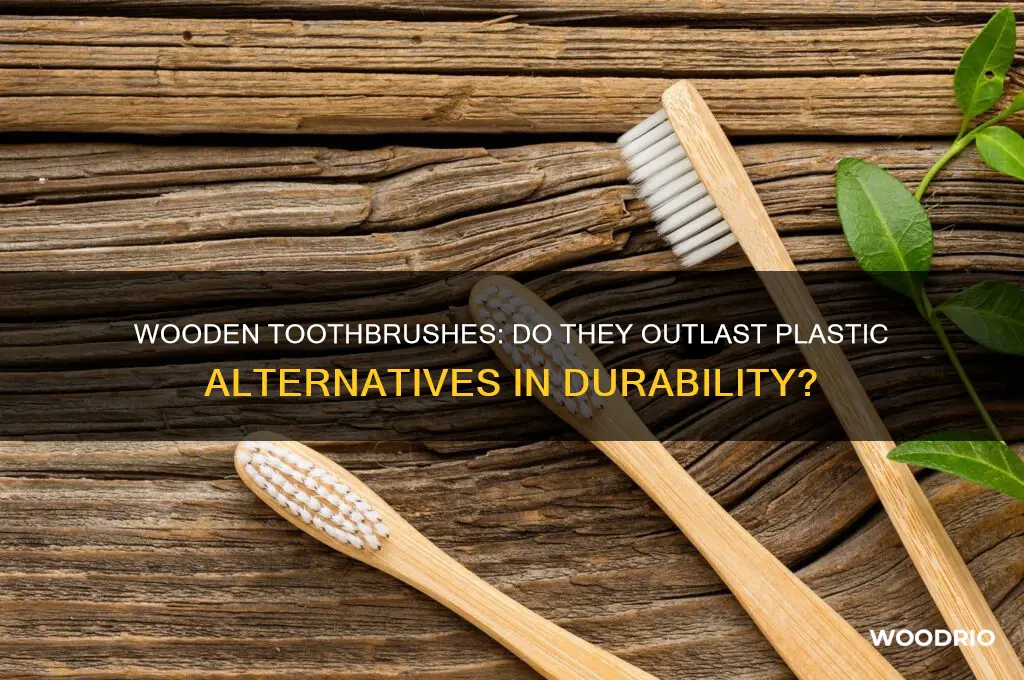 do wooden toothbrushes last longer
