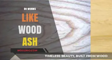 Exploring the Relationship Between Worms and Wood Ash: A Gardening Guide