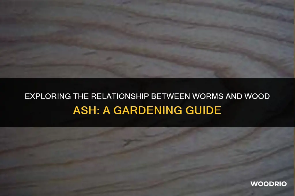 do worms like wood ash