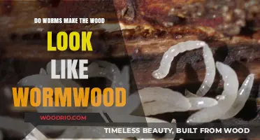 Nature's Illusion: How Worms Transform Wood into Wormwood Lookalikes