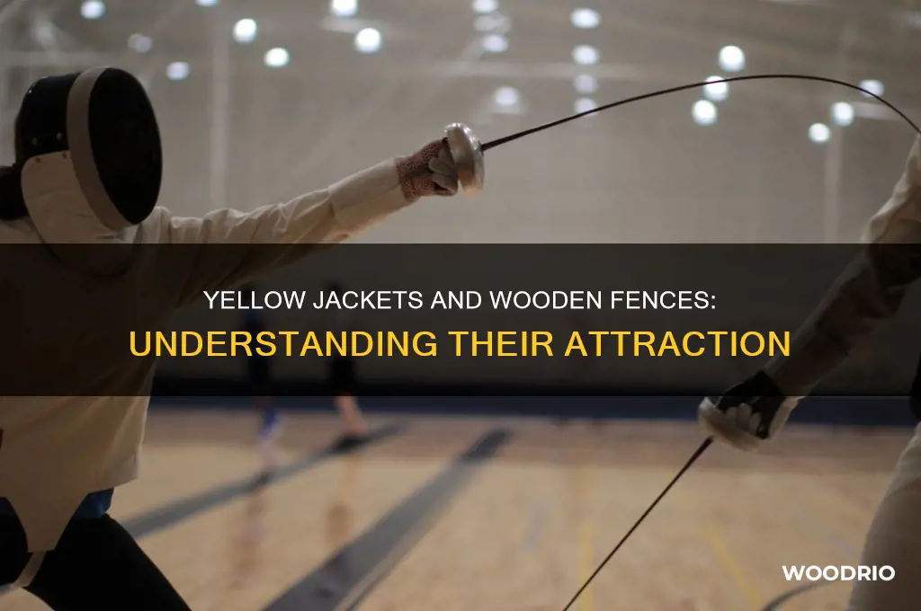 do yellow jackets attracted wooden fences