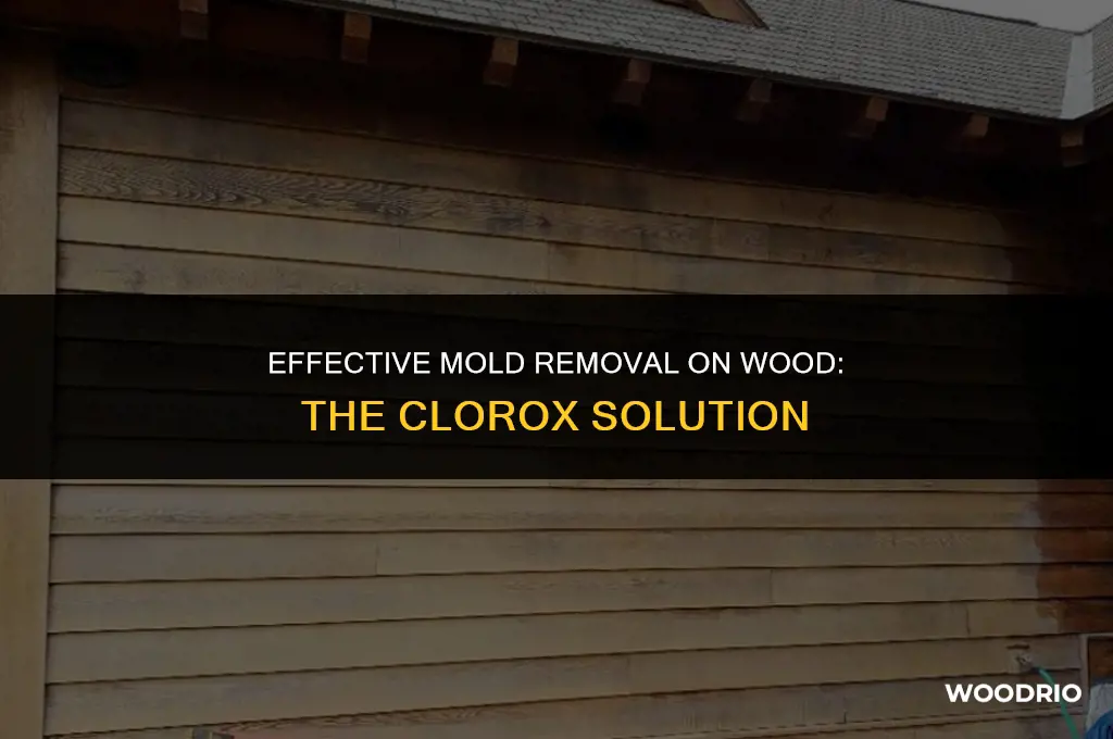 do you clean mold on wood with clorox