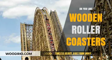Timber Twists and Turns: The Charm of Wooden Roller Coasters