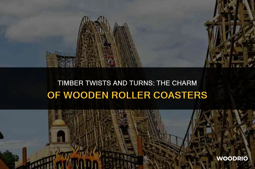 do you like wooden roller coasters