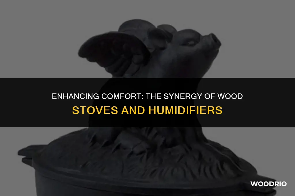 do you need a humidifier with a wood stove